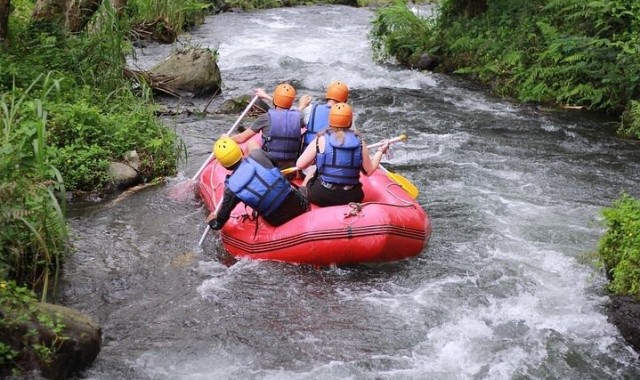 발리 뜨라가와자강 급류 래프팅 투어 (런치 뷔페 제공)