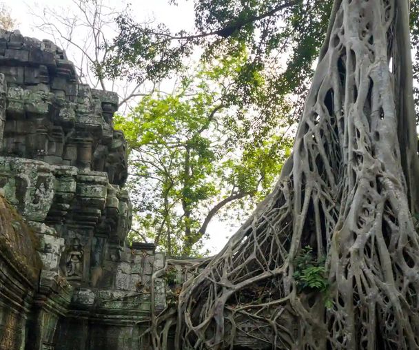 activity_detail_image