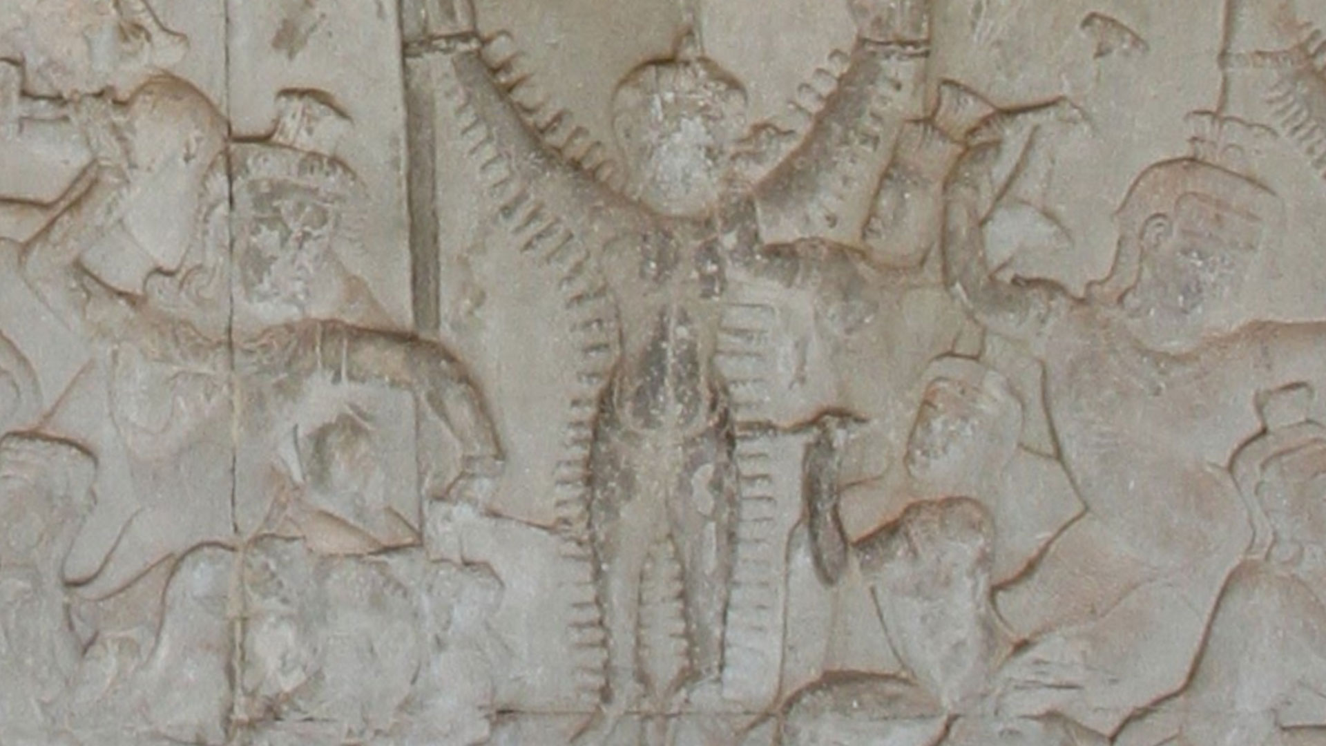 activity_detail_image