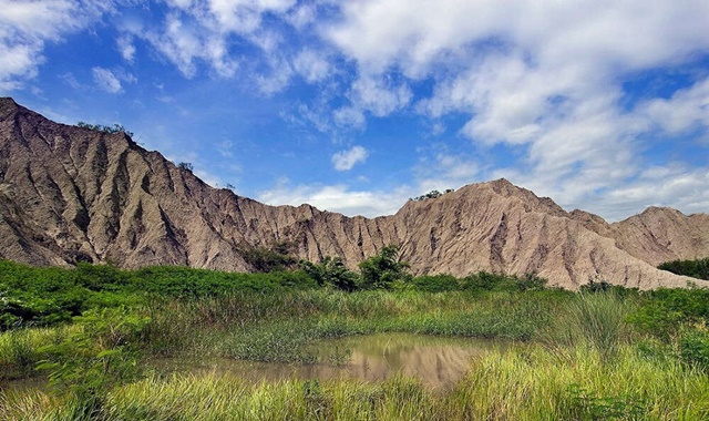 대만 가오슝 버스 투어 (한국어 가이드)