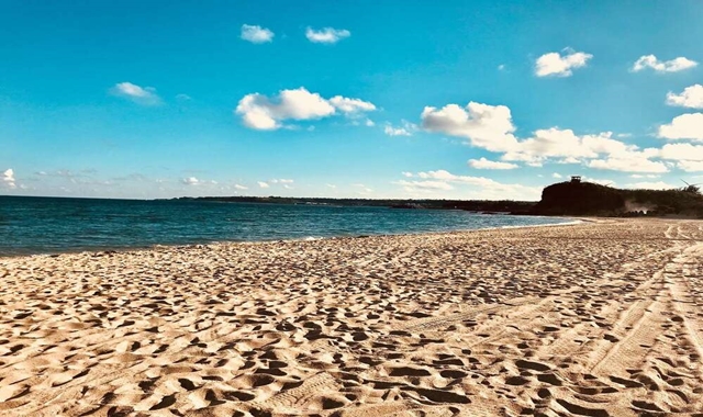 대만 컨딩 버스 투어 (가오슝 출발 / 한국어 가이드)
