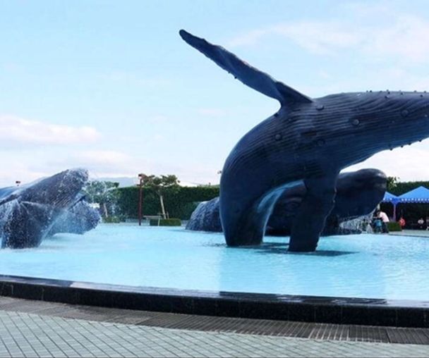 activity_detail_image