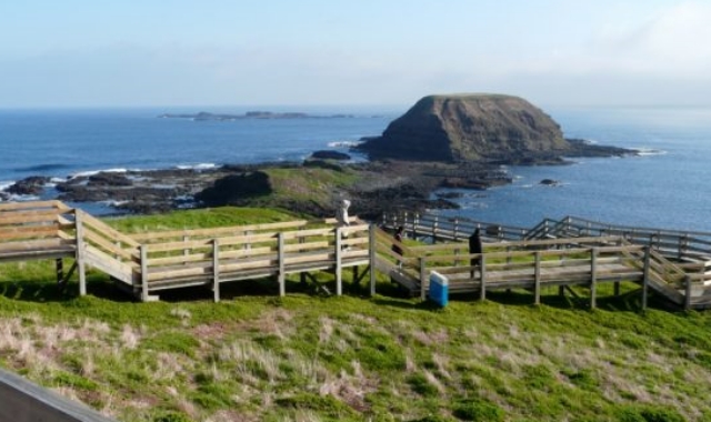 필립 아일랜드와 노비스 트래킹 & 왈라비 사파리 일일 투어