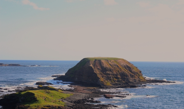 필립 아일랜드와 노비스 트래킹 & 왈라비 사파리 일일 투어