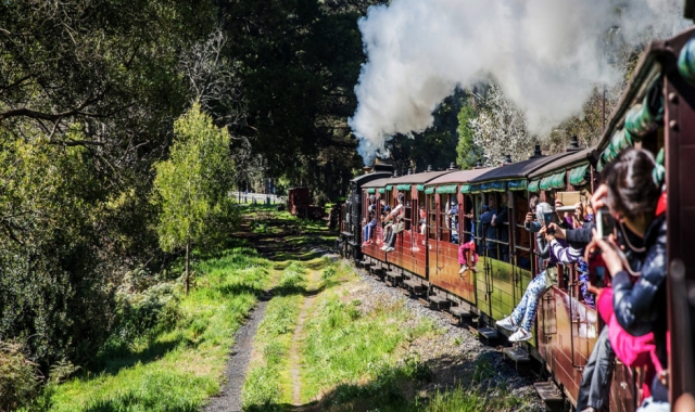 단데농 국립공원 & 퍼핑빌리 증기기관차 (1시간 탑승) & 동화마을 사사프라스 투어