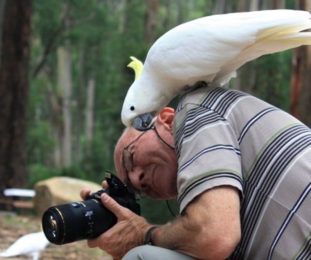 activity_detail_image