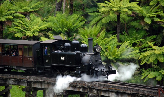 단데농 국립공원 & 퍼핑빌리 증기기관차 (1시간 탑승) & 동화마을 사사프라스 투어