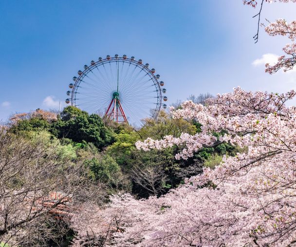 activity_detail_image