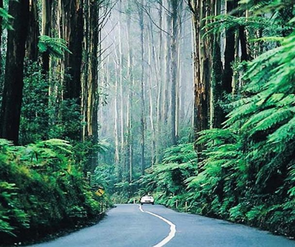 activity_detail_image