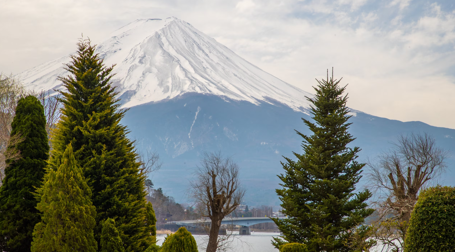 Yamanashi Kawaguchiko Music Forest Museum Weekday Ticket