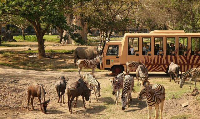 발리 사파리 & 마린 파크 데이 & 나이트 통합 입장권