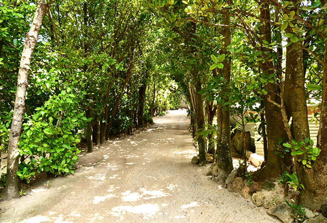 那覇発：沖縄北部ヒップホップバスBコースツアー