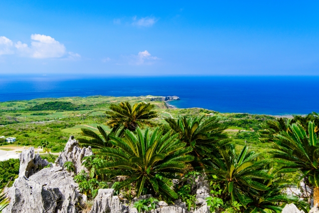 那覇発：沖縄北部ヒップホップバスCコースツアー