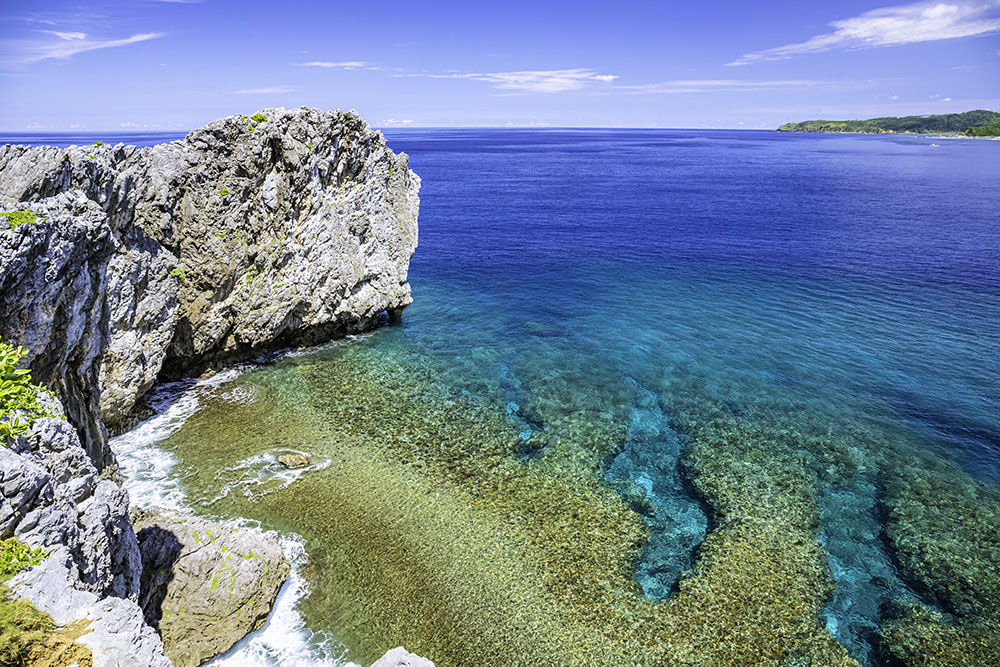 那覇発：沖縄北部ヒップホップバスCコースツアー