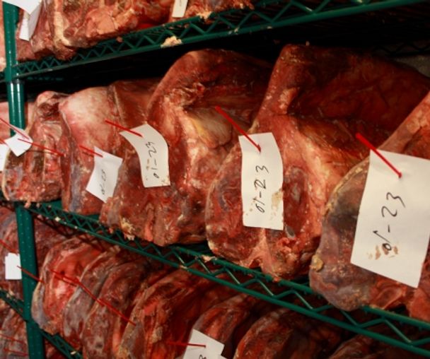 activity_detail_image