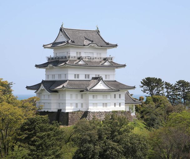 activity_detail_image