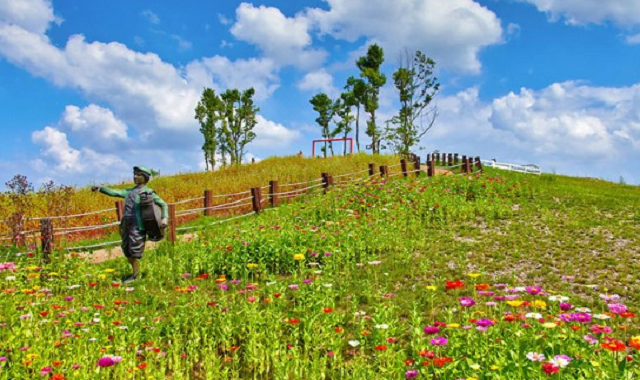 충북 증평 벨포레 목장 입장권