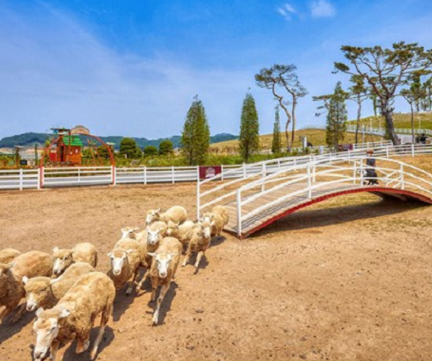 activity_detail_image