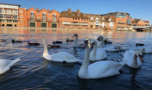 [킹스투어] 런던 윈저성 체크아웃 투어 (공항 샌딩 포함)
