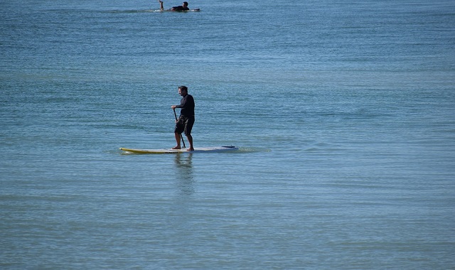 서울 압구정 한강 리버시티 패들보드 체험