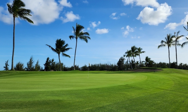 Hawaii Prince Golf Club (18 holes green fee + cart fee + free airport pickup)