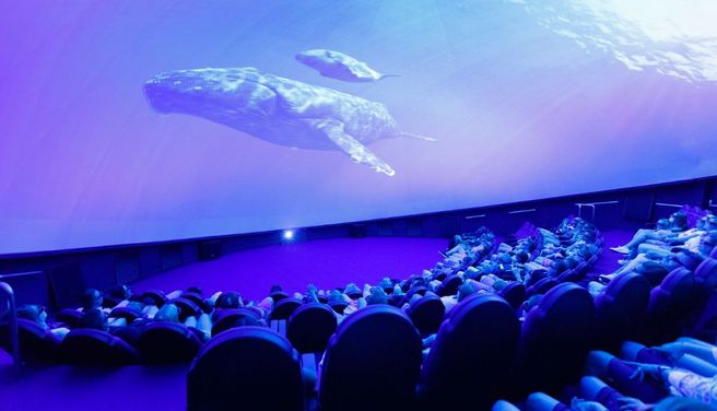 Palma Aquarium Priority Entry Ticket