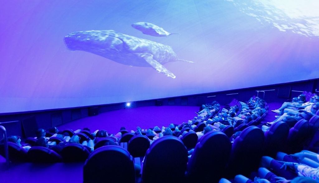 パルマ水族館 優先入場チケット