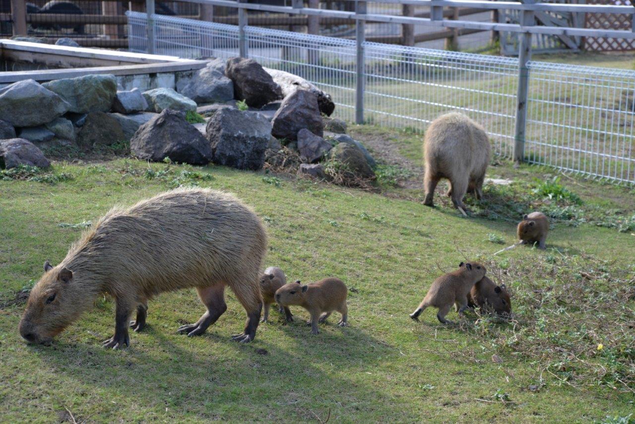 activity_detail_image