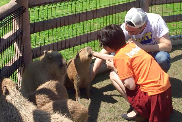 activity_detail_image