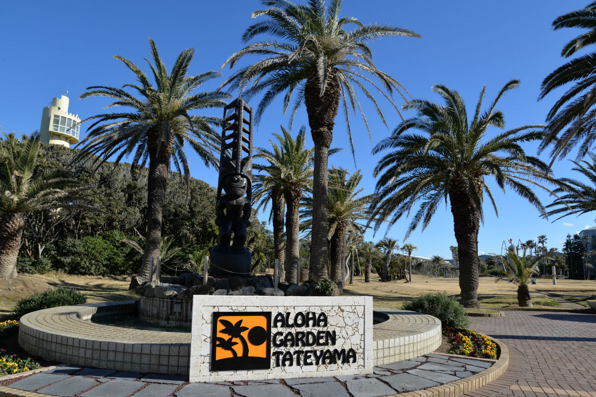 activity_detail_image