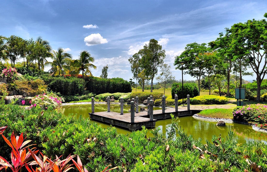 activity_detail_image