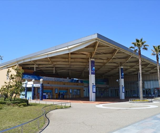 activity_detail_image