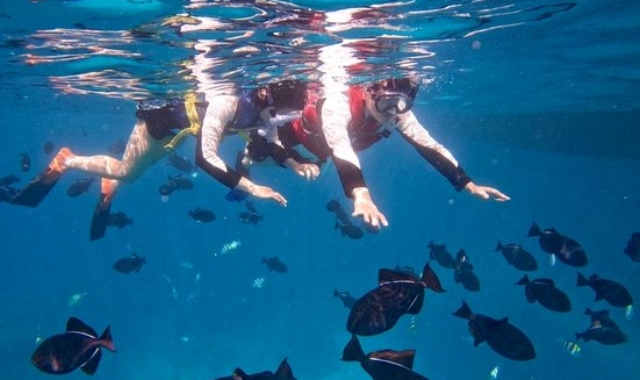 하와이 오아후 거북이 스노클링 투어 + 제트스키 + 패러세일링