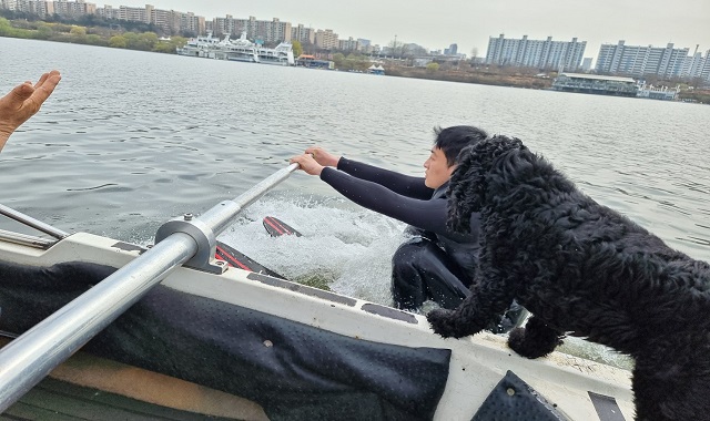 서울 압구정 한강 리버시티 웨이크서핑 체험 & 강습