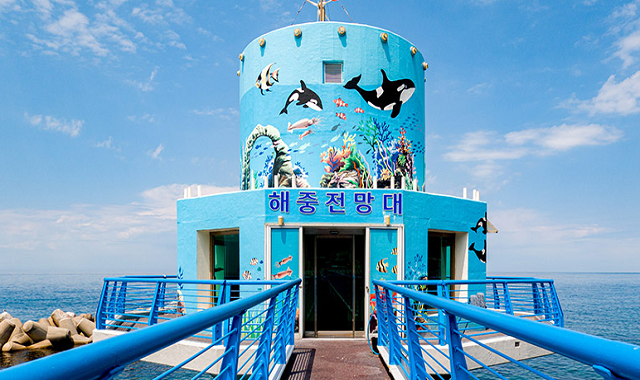 울릉아일랜드 투어패스 (24시간 / 48시간 패키지권)