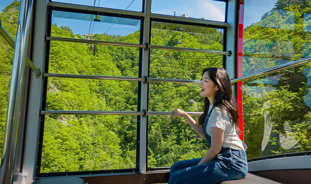 울릉아일랜드 투어패스 (24시간 / 48시간 패키지권)