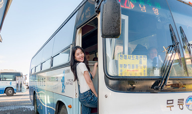 울릉아일랜드 투어패스 (24시간 / 48시간 패키지권)