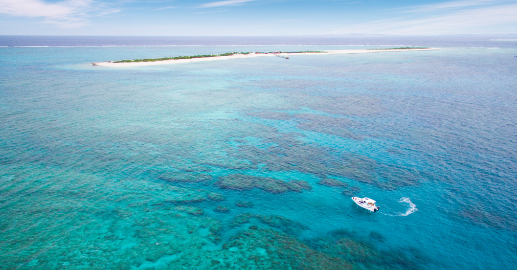 오키나와 케라마 제도 스노클링 (한국어 진행)