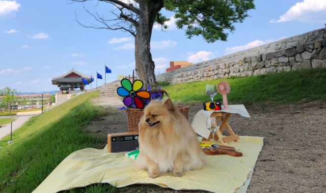 경주 '어디든가게' 피크닉 세트 대여