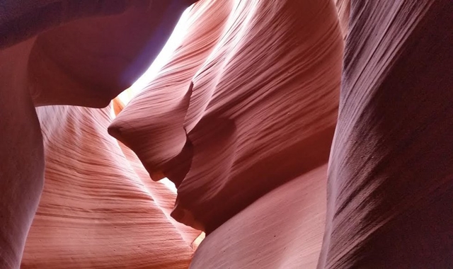 [마이드림투어] [당일투어] 프리미엄 엔텔롭캐년 & 홀슈밴드 단독 투어