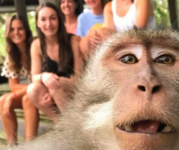 activity_detail_image