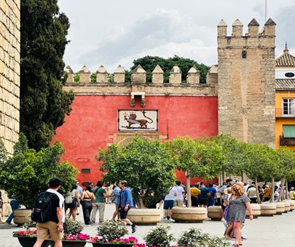 activity_detail_image