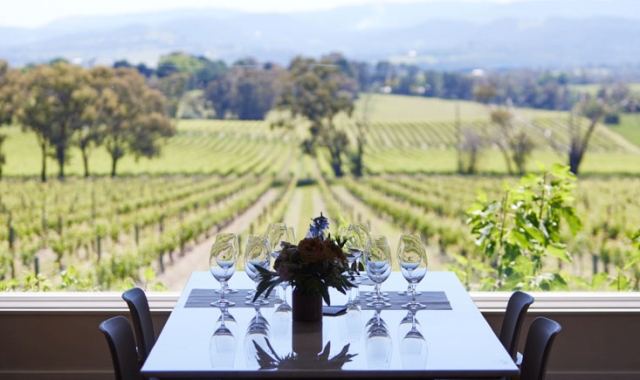 [OK트래블] 야라밸리 와이너리 일일 단독 투어