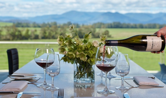 [OK트래블] 야라밸리 와이너리 일일 단독 투어