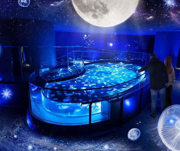 activity_detail_image