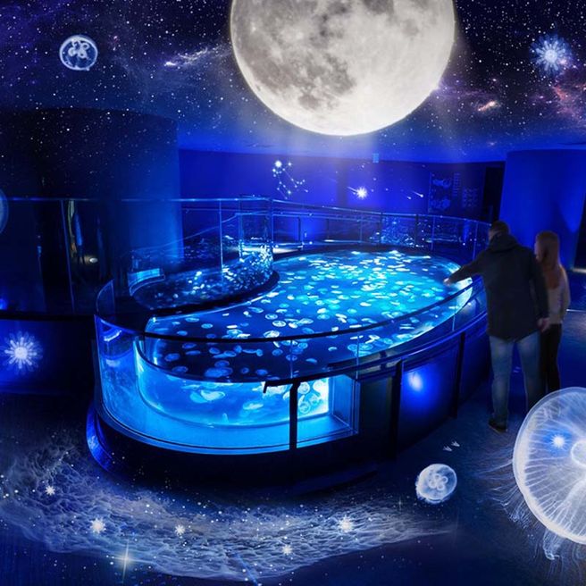 東京すみだ水族館 入場チケット