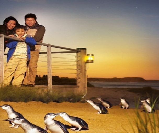 activity_detail_image