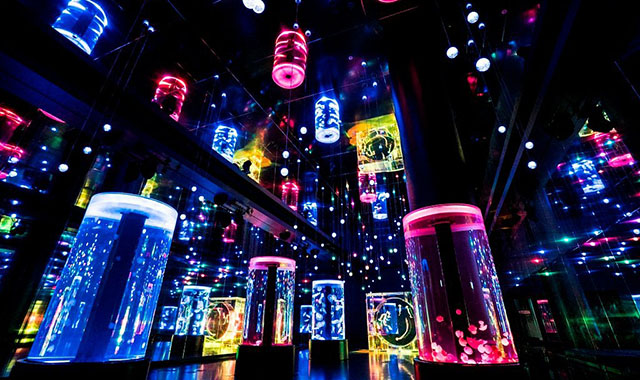 マクセル アクアパーク品川 電子チケット