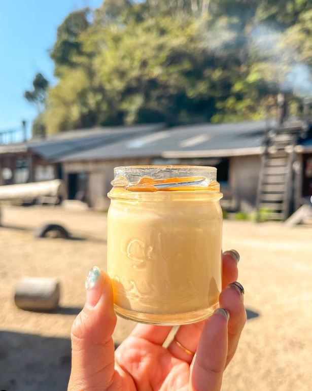 [테라투어] 후쿠오카 이토시마 소소 버스 투어 (소금푸딩 증정)