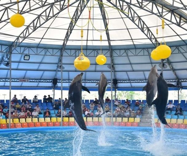 activity_detail_image